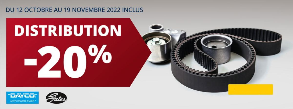 -20% DISTRIBUTION